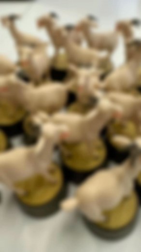 Granas Goats have arrived at the WV Corporate Office!! @jgrana_wv | Wireless Vision | Facebook