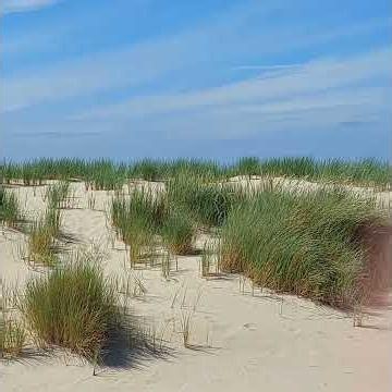 ostend beach sea dunes 14.6.2026 oostende strand zee duinen