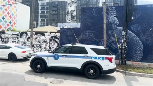 Aspiring female rapper arrested in man's fatal shooting in Wynwood