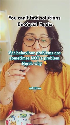 Cat Behaviour Explained #cats #mypet #mycat #catbehavior #pets #catstress #catinstincts #catparents