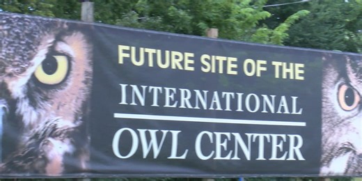 International Owl Center to build first owl aviary in the U.S.