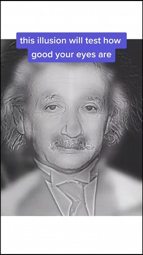 Eye Test Illusion - Albert Einstein vs Marilyn Monroe