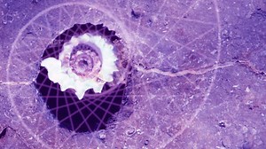 Preserving science: what to do with raw research material?