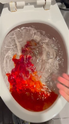 Zurn ecovantage toilet siphoning out with purple and red water!!!