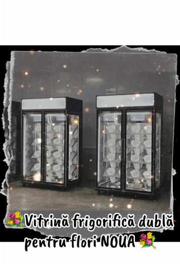 💐 Păstrează florile mereu proaspete și perfecte! Vitrină frigorifică dublă pentru flori 🌹 🔹 Ideală pentru florării și evenimente 🔹 Temperatură controlată pentru prospețime maximă 🔹 Iluminare LED elegantă 🔹 Design modern cu geamuri mari și clare 📞 Comandă acum: (0727) 324 787#viral #fy #fyy #fyppp #viralvideo