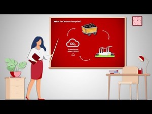 How to reduce your Carbon Footprint?