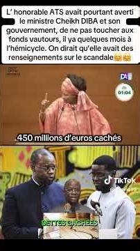 Beware of vulture funds: When Aissata Tall Sall warned the Sonko and Diomaye duo