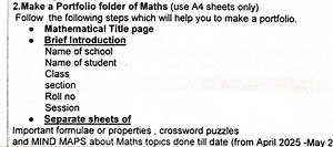 Prepare a Mathematics Portfolio using A4 sheets, including the ... | Filo