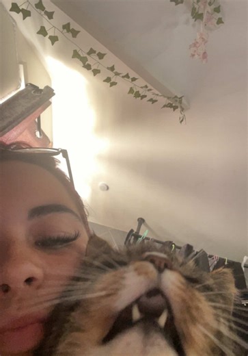 Returning to School: Locker Full of Memories