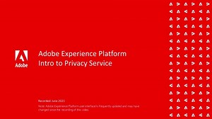 Adobe Experience Platform 中的 Privacy Service 快速入门 | Adobe Experience Platform