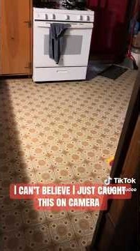 4 Creepiest TikToks Found on the Internet 😳
