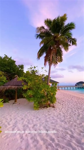 Відео користувача Турзнахарь (@denys_tour) з композицією «Monastery of Sound Hibell Edit - Aaron Hibell»