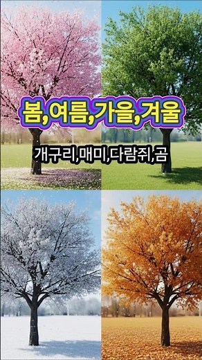 한 그루의 나무로 보는 봄·여름·가을·겨울#계절학습 #봄여름가을겨울 #나무이야기 #유아학습 #자폐아교육 #시각학습 #행복한꿈트리