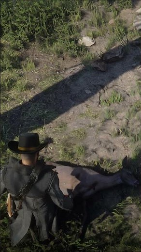 RDR2 – Perfect Deer Hunt 🎯🦌