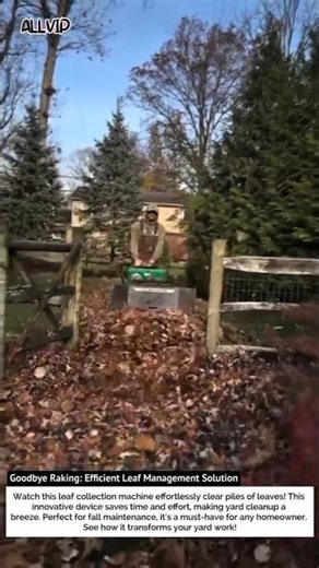 Goodbye Raking: Efficient Leaf Management Solution