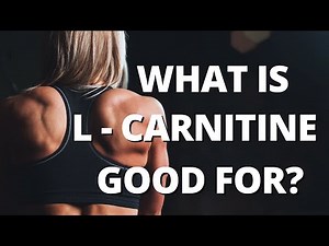 Benefits & Sources of L-Carnitine