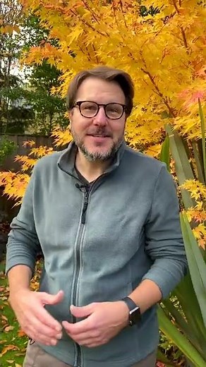 Protecting our plants from vine weevils using nematodes