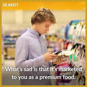 100 reactions · 40 shares |  Have a cat who's energy seems a little 'off'?? Chances are there is something missing in their diet! As a veterinarian, author and creator of Nature's Feast, I’ve dedicated my entire adult life researching the best, healthiest ways to improve feline health. Discover my top tips to naturally boost a cat's nutrition, mood, and digestion so they can live their best 9- lives! Discover Nature's Feast  bit.ly/2ADaxKF | Dr. Marty Pets | Facebook