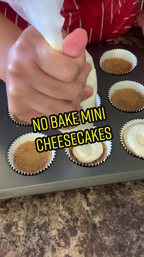 Delicious No Bake Mini Cheesecakes Recipe