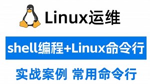 【2025全新】shell脚本实战案例和所有常用Linux命令行指令，完美提升你的工作效率！【附文档】