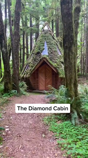 Cabin created and designed by @jacobwitzling & me 🤗 #diy #cabin #cabinlife #wildernessskills #outdoors #construction