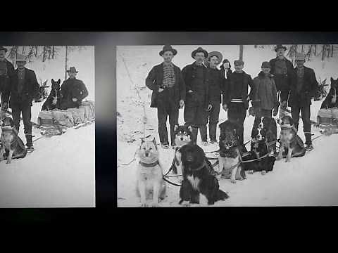 JOHNNY HORTON- "NORTH TO ALASKA" (VINYL + LYRICS)