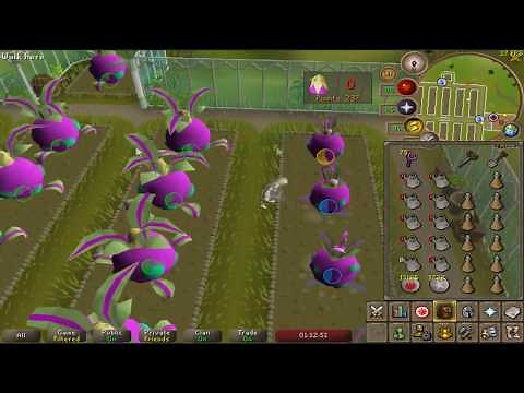 Tithe Farm Guide (Seed Box, Farmer's Outfit and Auto Weed)