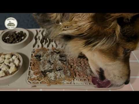 Dog Lick Mat ASMR | 12 Min Calm Licking & Soft Crunch
