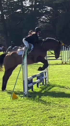 Cat Noir: A Miraculous Recovery Story