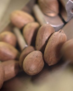 This easy pecan pie recipe will turn this Southern treat into a family favorite. | Discover South Carolina