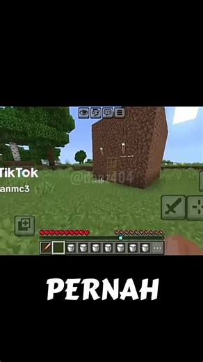 Rating Minecraft Skins for Ultimate Style