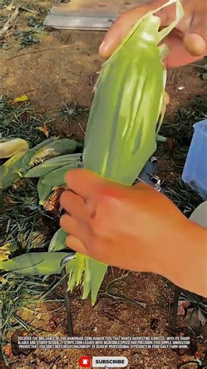 DIY corn husker peeling tool 🌽 #shorts #farmtools #diytools
