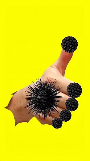 SmartYojna on Instagram: "Asmr animation habd incted"