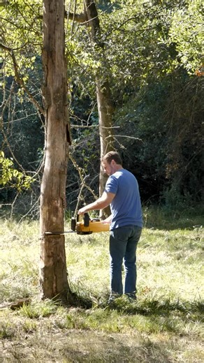 1.8K views · 11 reactions | Last week a tree fell on me. Well this week, I FALL ON YOU! | Fred Facker | Facebook