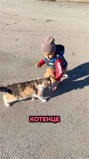 Едно Обикновено Семейство on Instagram: "Най-чистата любов е тази от дете към животно и от животно към дете..🥹❤️ #българия🇧🇬 #котка #семейство #любов #българско"