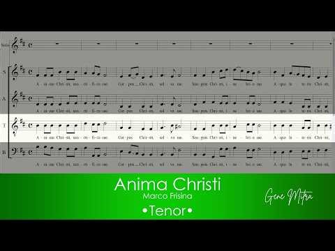 Anima Christi | Marco Frisina • Tenor