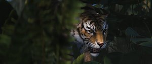 407K views · 1.5K reactions | A new biome, more wildlife, and more opportunities to hunt or be hunted. The Jungle Update releases on May 1st  Now available to test through 'aux03' on Rust's Staging Branch. Select it via the game's Steam's Beta Participation to download and access the work in progress.  | Play Rust | Facebook