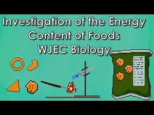 The Burning Food Practical Revision - WJEC Biology - (GCSE REVISION)