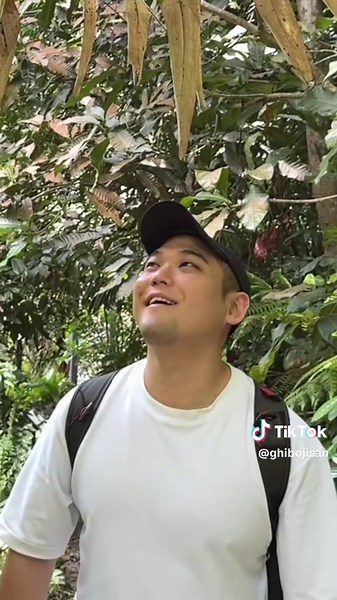 Explore Rainforest Wild Asia: Singapore's New Zoo Experience