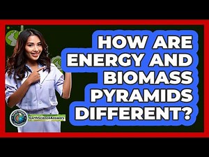 How Are Energy And Biomass Pyramids Different?