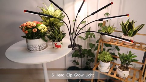 FECiDA Gamechanger 2026 36 Watt Power Draw, NO Need Adapter, 4Head Strong Clip Grow Lights for Indoor Plants with 4/8/12/16/20H Timer, LED Plant Growing Lamps for Houseplants, Bonsai, Seed Starting