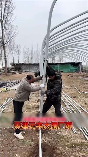 #livestock shed frame #greenhouse oval tube #greenhouse pipe mate