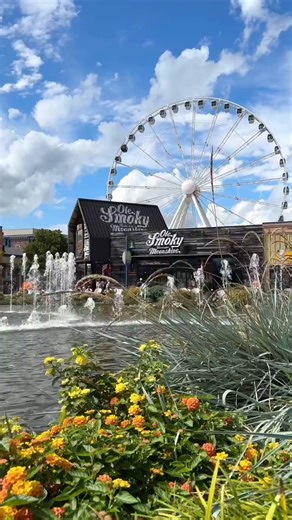 19K views · 405 reactions | ️ Enjoy some relaxing Island Fountain...