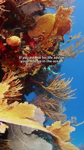 The only advice I'm qualified to give: Get in the water! 🤿 🌊 Start your PADI Open Water Diver Course now! ⛓️‍💥 Learn more: http://padi.co/poan4u4f #PADI #ScubaDiving #Underwater #Ocean #MarineLife #Diving | PADI