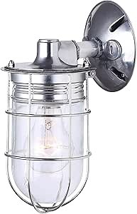 CANARM LTD. IOL337AL Weather 1 Light, Indoor/Outdoor, Ceiling/Wall Mount, All Metal with Cage, Aluminum Finish