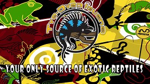 20 reactions · 4 comments | Are you thinking about adding a cute...