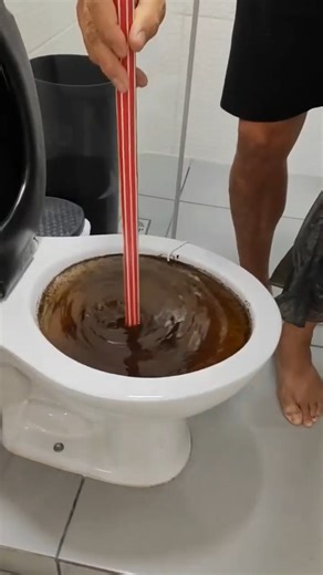 250K views · 2.7K reactions | Is your toilet clogged? Learn how to fix it! | Raimundo's Recipes and Tips | Facebook