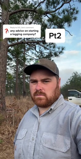 Tips for Starting a Successful Logging Company