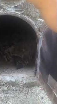 "Traditional Hamam: How Heated Stones Warm a Room in Freezing Temperatures