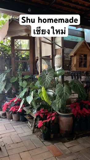 Shu homemade Chiang Mai, the food is incredibly delicious. If you come to Chiang Mai, you must tr...